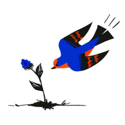 Illustration of a bird grabbing a fresh berry.