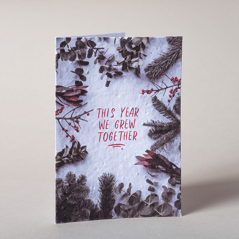 Seedlings Grußkarte